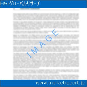 市場と産業調査レポートのイメージ